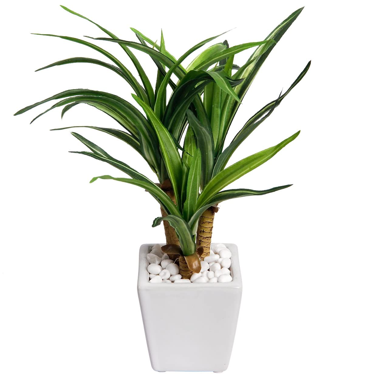 Amazon｜フェイクグリーン ミニユッカ鉢植 白鉢 24cm 陶器鉢 観葉植物